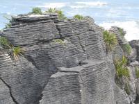 Albums/20060200-New Zealand 2006/20060205-Greymouth_Punakaiki/18